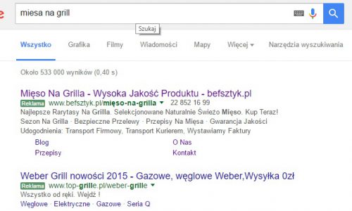 Dynamiczne reklamy w wyszukiwarce (DSA) - zdjęcie nr 15