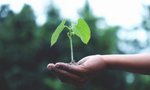 pexels-photo-1072824 Google AdWords – opinie i rekomendacje klientów - zdjęcie nr 9