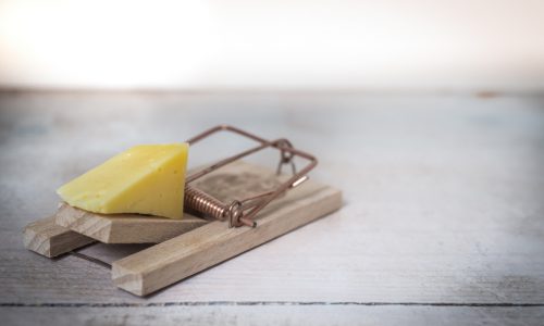 Współpraca partnerska z wykorzystaniem technologii VCM - zdjęcie nr 8