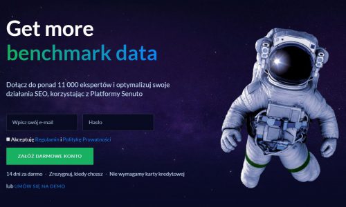Optymalizacja Landing Page – długoterminowe pozyskiwanie leadów - zdjęcie nr 14