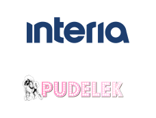 Sieć Reklamowa Google Ads - zdjęcie nr 29