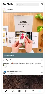 Gdzie Wyswietla Meta Ads.webp