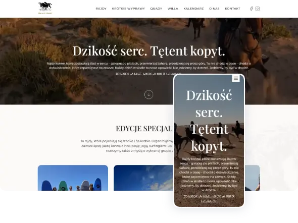 Realizacje www - zdjęcie nr 18